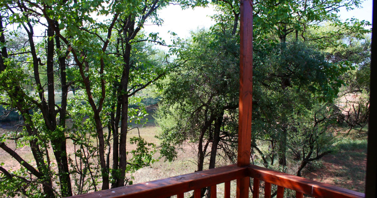 Natural wilderness surroundings at Maseri Cabins near Musina